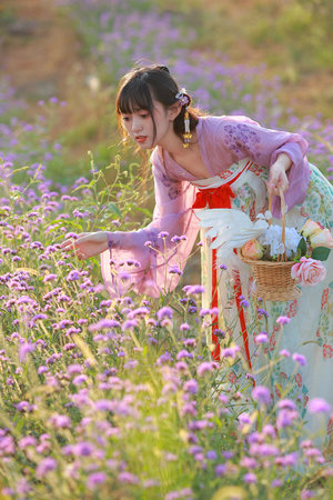 3D肉蒲团哪里可以看